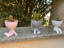 Carregar imagem no visualizador da galeria, Vasos "Robert Plant" impressos em 3D para plantio de suculentas.